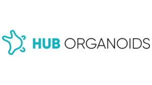 HUB Organoids