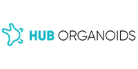Hub organoid