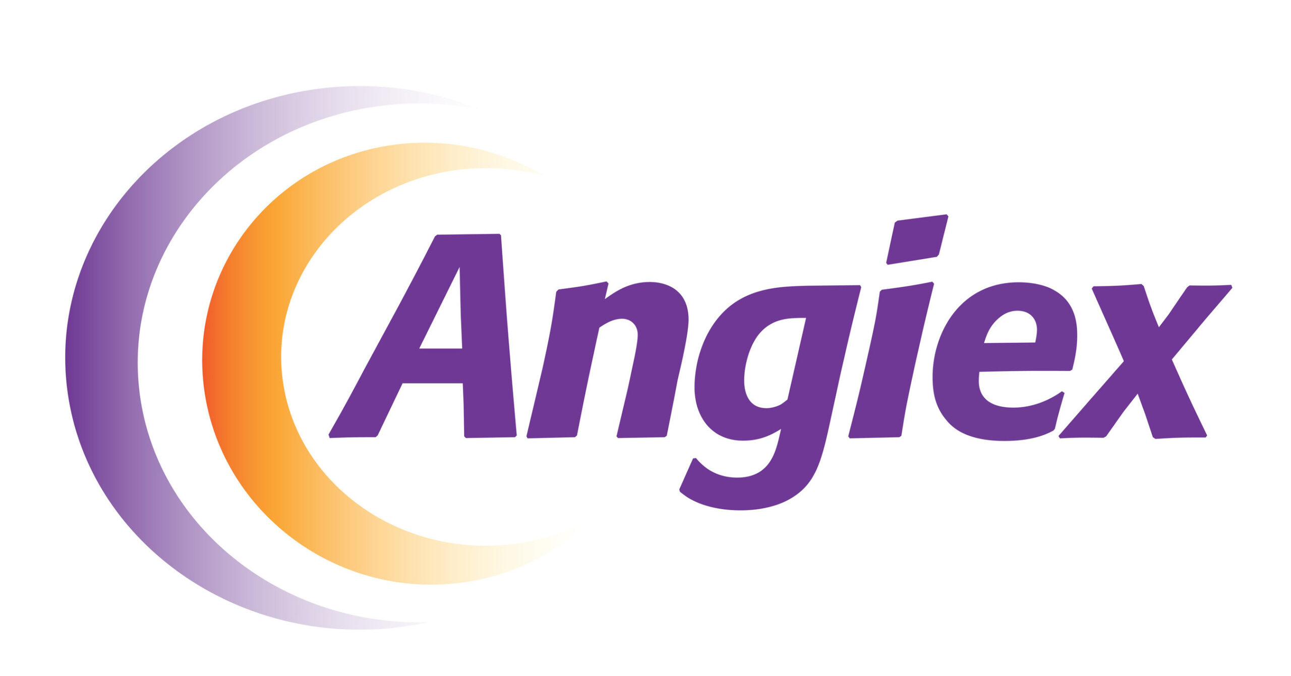 Angiex Inc. is a privately held biotech startup whose mission is to exploit newly discovered biological transport mechanisms to make drugs with revolutionary power over cancer. Based in Cambridge, Mass., Angiex was founded by a scientific team of leading experts in angiogenesis, vascular biology, and oncology.