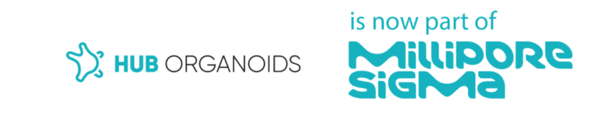 Hub Organoids Logo